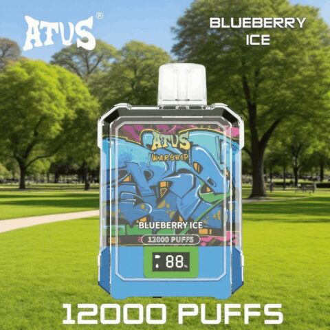 DE013A Wegwerp Vape 12000 Puffs met LED-scherm en instelbare luchtstroom ATVS Vape Disposable E-sigaret