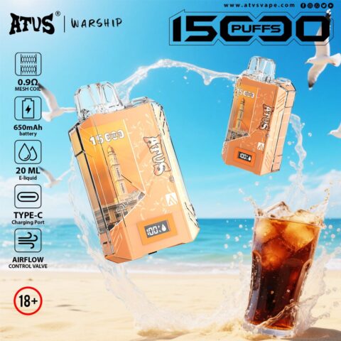 DE017 Wegwerp Vape 15000 Puffs met LED-scherm en instelbare luchtstroom