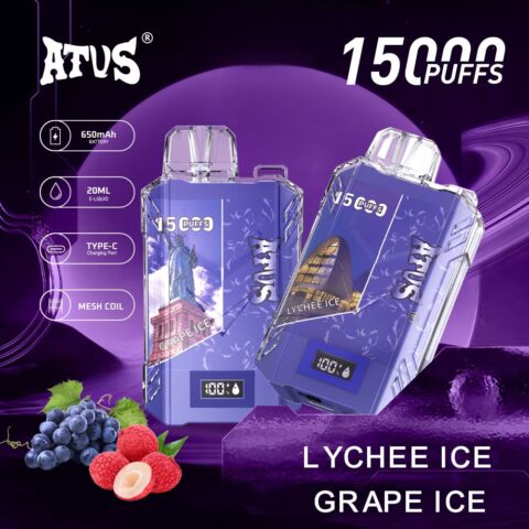 DE017 Wegwerp Vape 15000 Puffs met LED-scherm en instelbare luchtstroom