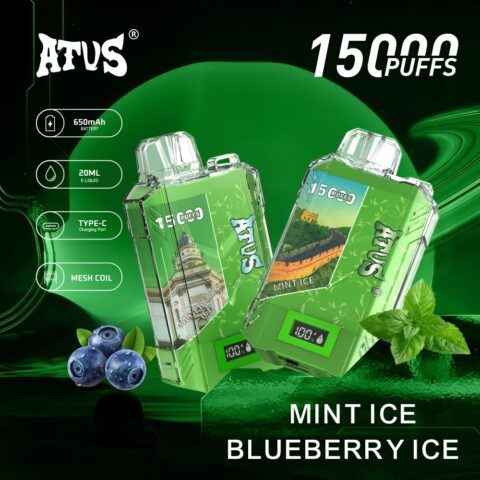 DE017 Wegwerp Vape 15000 Puffs met LED-scherm en instelbare luchtstroom