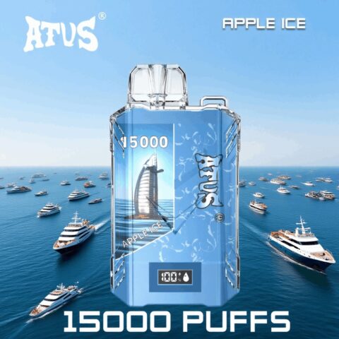 DE017 Wegwerp Vape 15000 Puffs met LED-scherm en instelbare luchtstroom