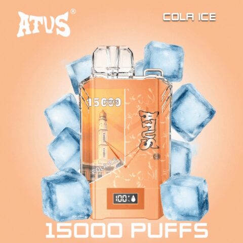 DE017 Wegwerp Vape 15000 Puffs met LED-scherm en instelbare luchtstroom