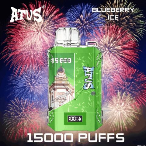 DE017 Wegwerp Vape 15000 Puffs met LED-scherm en instelbare luchtstroom