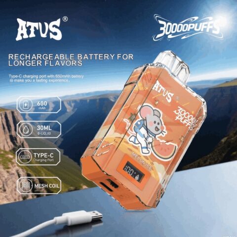 DE017 Wegwerp Vape 30000 Puffs met LED-scherm en instelbare luchtstroom