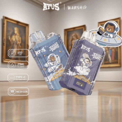 DE017 Wegwerp Vape 30000 Puffs met LED-scherm en instelbare luchtstroom