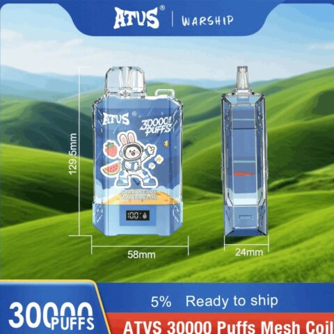 DE017 Wegwerp Vape 30000 Puffs met LED-scherm en instelbare luchtstroom