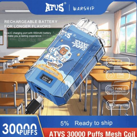 DE017 Wegwerp Vape 30000 Puffs met LED-scherm en instelbare luchtstroom