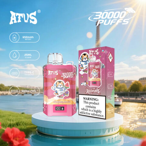 DE017 Wegwerp Vape 30000 Puffs met LED-scherm en instelbare luchtstroom