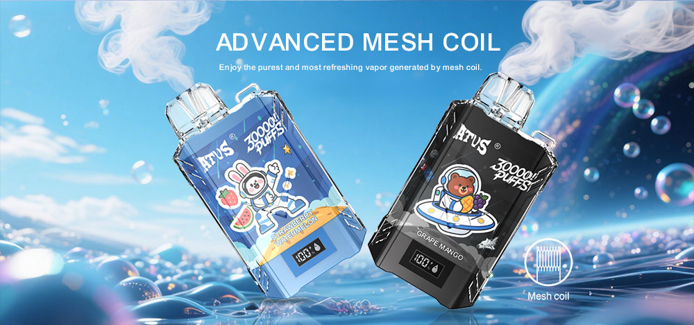 DE017 Wegwerp Vape 30000 Puffs met LED-scherm en instelbare luchtstroom