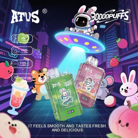 DE017 Wegwerp Vape 30000 Puffs met LED-scherm en instelbare luchtstroom