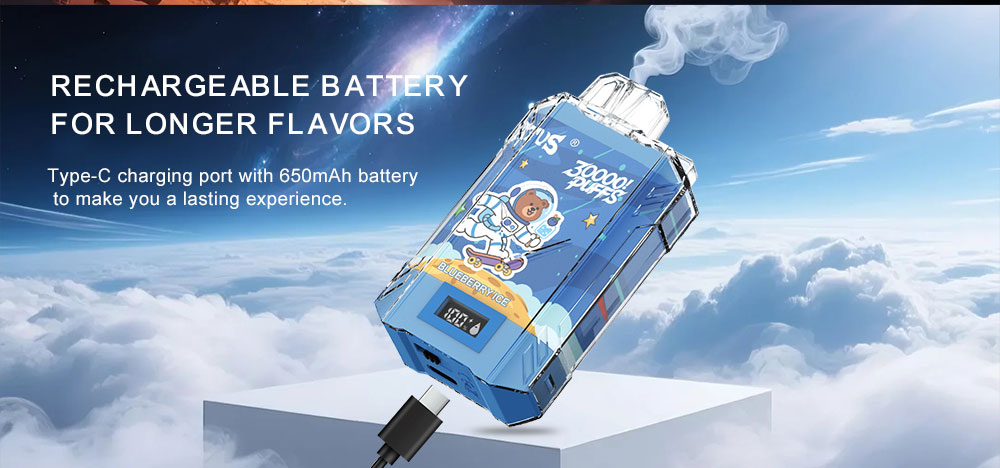 DE017 Wegwerp Vape 30000 Puffs met LED-scherm en instelbare luchtstroom
