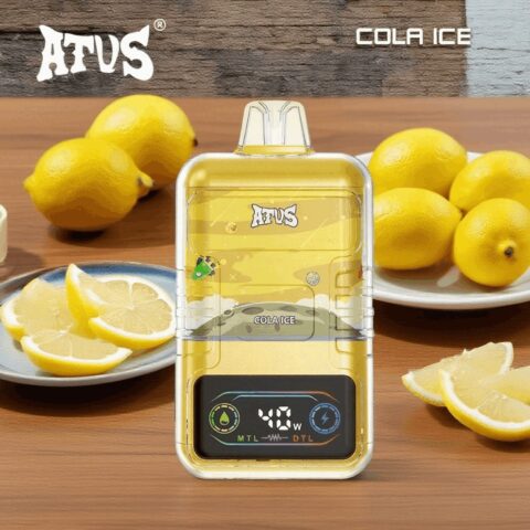 DE021 Wegwerp Vape 30000 Puffs met LED-scherm en instelbare luchtstroom MTL DTL