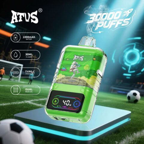 DE021 Wegwerp Vape 30000 Puffs met LED-scherm en instelbare luchtstroom MTL DTL