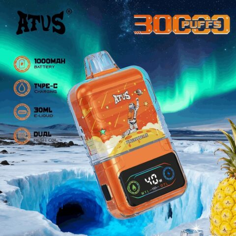 DE021 Wegwerp Vape 30000 Puffs met LED-scherm en instelbare luchtstroom MTL DTL