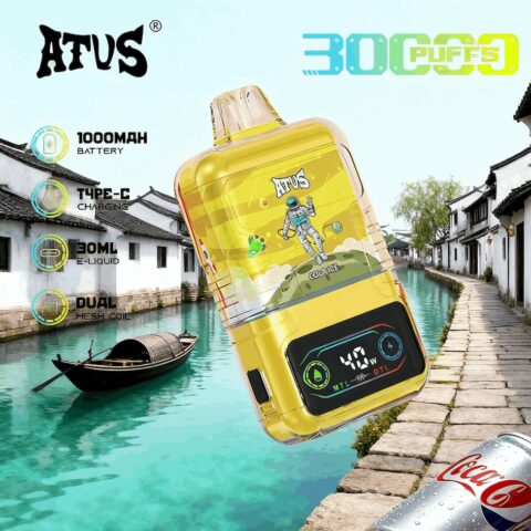 DE021 Wegwerp Vape 30000 Puffs met LED-scherm en instelbare luchtstroom MTL DTL