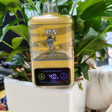 DE021 Wegwerp Vape 30000 Puffs met LED-scherm en instelbare luchtstroom MTL DTL