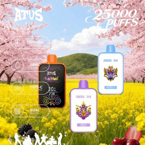 DE022 Wegwerp Vape 25000 Puffs met volledig scherm, oplaadbaar en instelbare luchtstroom ATVS E-sigaret Disposable