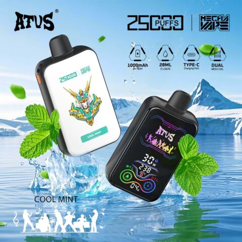 DE022 Wegwerp Vape 25000 Puffs met volledig scherm, oplaadbaar en instelbare luchtstroom ATVS E-sigaret Disposable