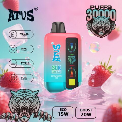 DE026 30000 Puffs Disposable Vape met LED scherm en instelbare luchtstroom ATVS Vape