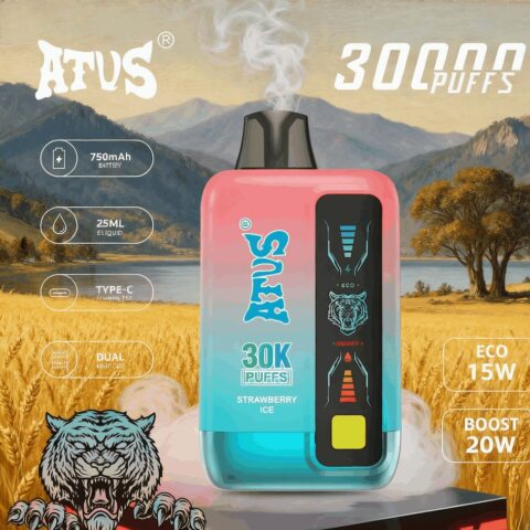 DE026 30000 Puffs Disposable Vape met LED scherm en instelbare luchtstroom ATVS Vape