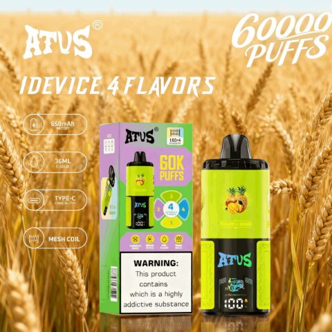 DE030 Wegwerp Vape 60000 Puffs Disposable Vape met LED scherm en instelbare luchtstroom