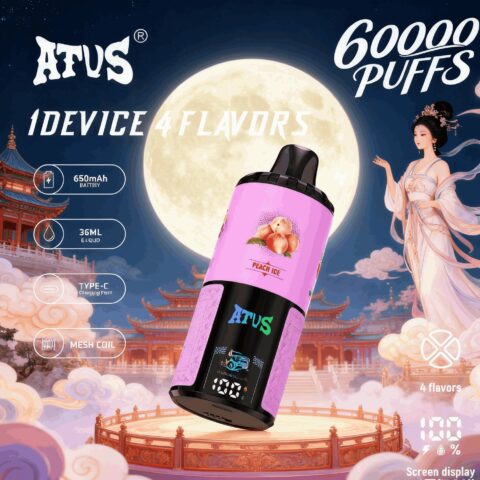 DE030 Wegwerp Vape 60000 Puffs Disposable Vape met LED scherm en instelbare luchtstroom