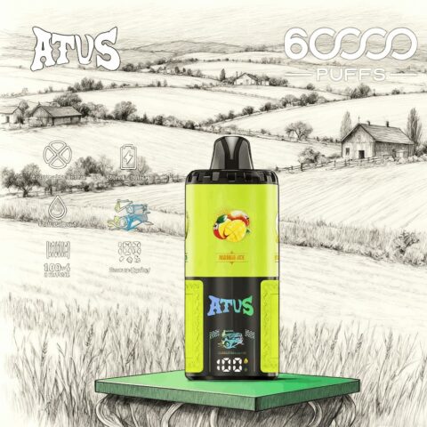 DE030 Wegwerp Vape 60000 Puffs Disposable Vape met LED scherm en instelbare luchtstroom