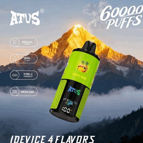 DE030 Wegwerp Vape 60000 Puffs Disposable Vape met LED scherm en instelbare luchtstroom